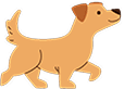 Slider Pointer